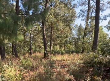 Terreno / Lote , Valle de Bravo · Terreno en Venta en Cerro Gordo, Valle de Bravo