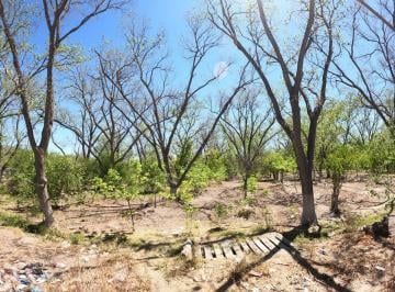 Terreno / Lote , Parras · Terreno de 1200 m² en Venta en Parras