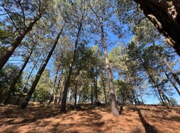 Terreno / Lote , Valle de Bravo · Terreno en Venta en Cerro Gordo, Valle de Bravo