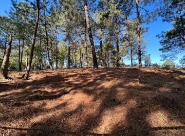 Terreno / Lote , Valle de Bravo · Terreno Boscoso en Cerro Gordo, Valle de Bravo