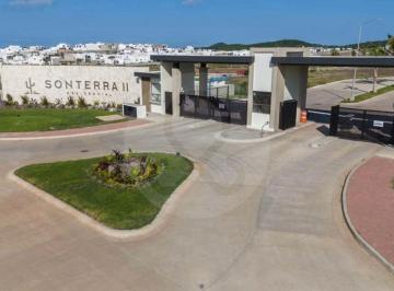WhatsApp Image 2024-10-29 at 20.28.14 (1).jpeg · Sonterra Ii: Terreno Residencial en Venta en Fraccionamiento El Palmar