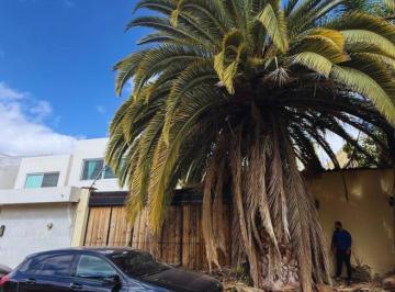 Casa · 187m² · 3 Recámaras · 2 Estacionamientos · Casa en Fraccionamiento Residencial Italia