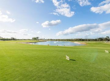 Terreno / Lote · 537m² · Terreno en Venta en Provincia a $3,700 m² - (4)