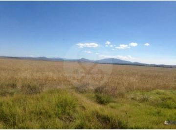 Terreno / Lote · 6000000m² · Terreno Residencial en Venta en Tolcayuca Centro