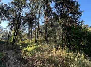 Terreno / Lote · 6000m² · Terreno Residencial en Venta en San Simón El Alto