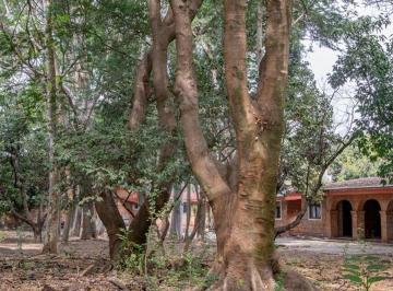 iOU154D-l.jpg · Terreno Residencial en Venta en Los Pinos Campestre