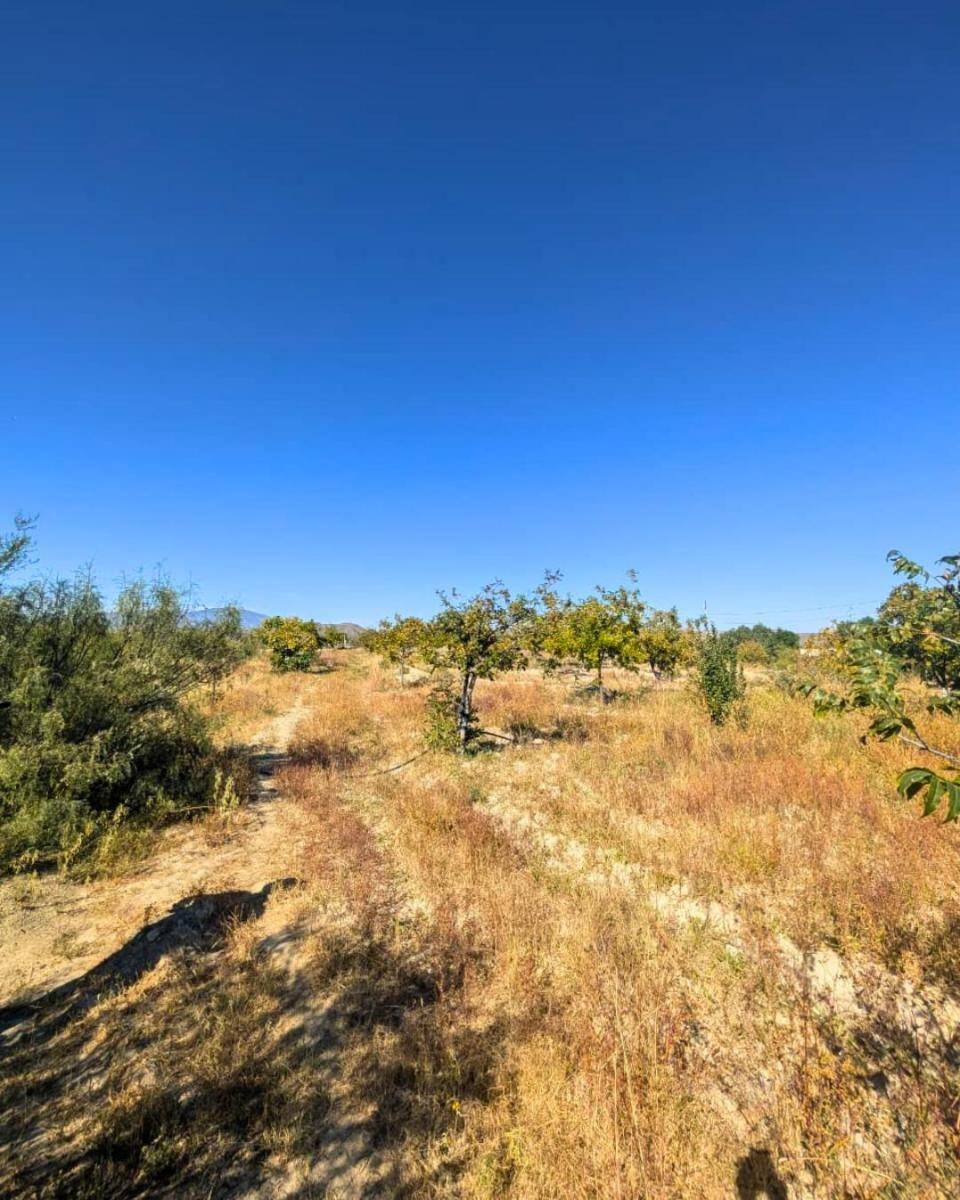 Land with 2,500 m² Surface Area for Sale, Ejido 6 de Enero