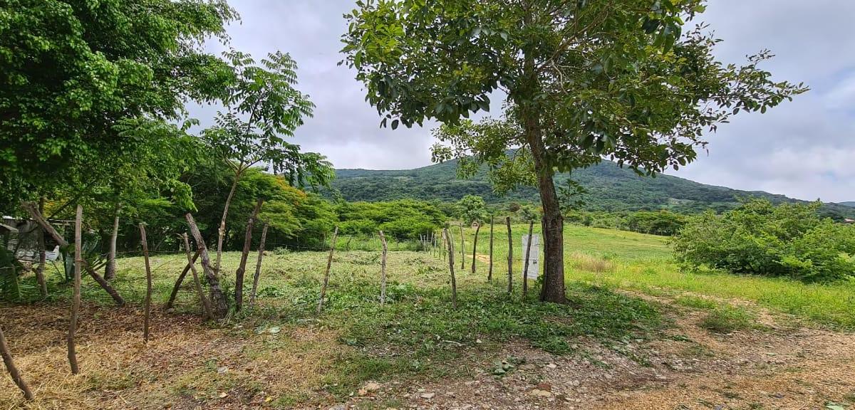 Selling Rural Land