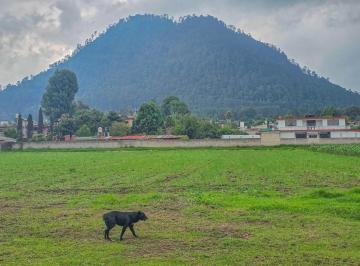 Terreno / Lote · 500m² · Terreno Plano en Venta con Excelente Ubicacion | Propiedad Privada