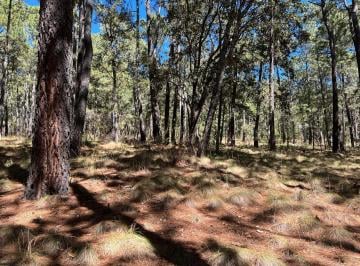 Terreno / Lote · 5993m² · Tapalpa, Bosque de La Cañada. Terreno en Venta