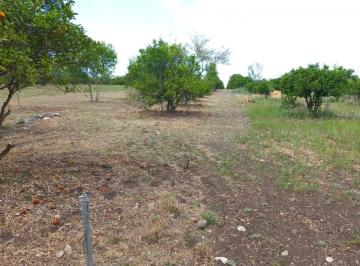Terreno / Lote , Montemorelos · Terreno Campestre a 3 Min de Pueblo Salvaje