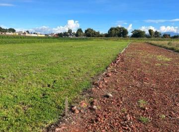 Terreno / Lote , Metepec · Terreno en Venta, San Sebastian, Metepec
