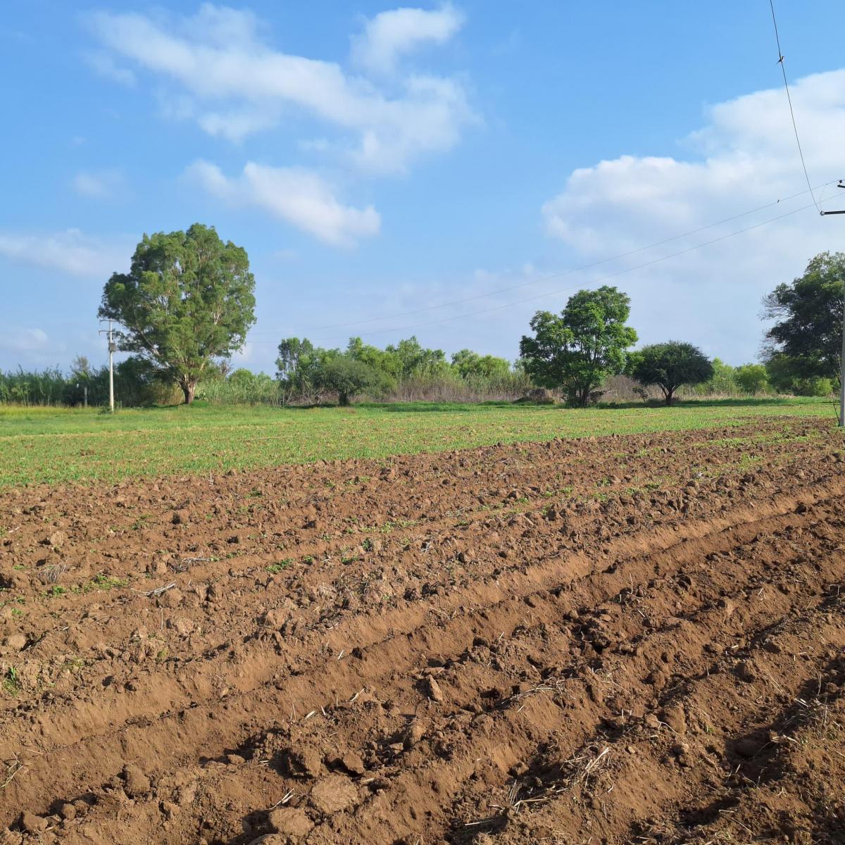 Plot Located in Guadalupe Hidalgo; Near the New Ciudad Salud