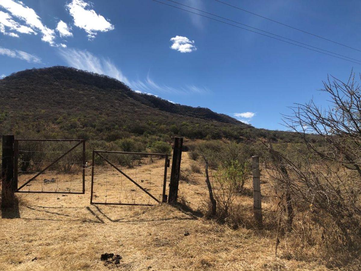 1,100 Hectares for Sale in Manuel Doblado