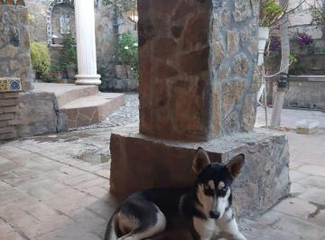Casa de 2 habitaciones, Arteaga · Casa Amplia un ´piso Arteaga Coahuila