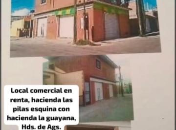 Bodega comercial , Aguascalientes · Local Comercial