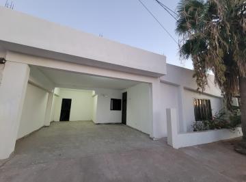 Hermosa fachada con plantas y palmera · Casa Remodelada en Unión de Colonos | 3 Rec, 3 Baños | Lista Para Habitar