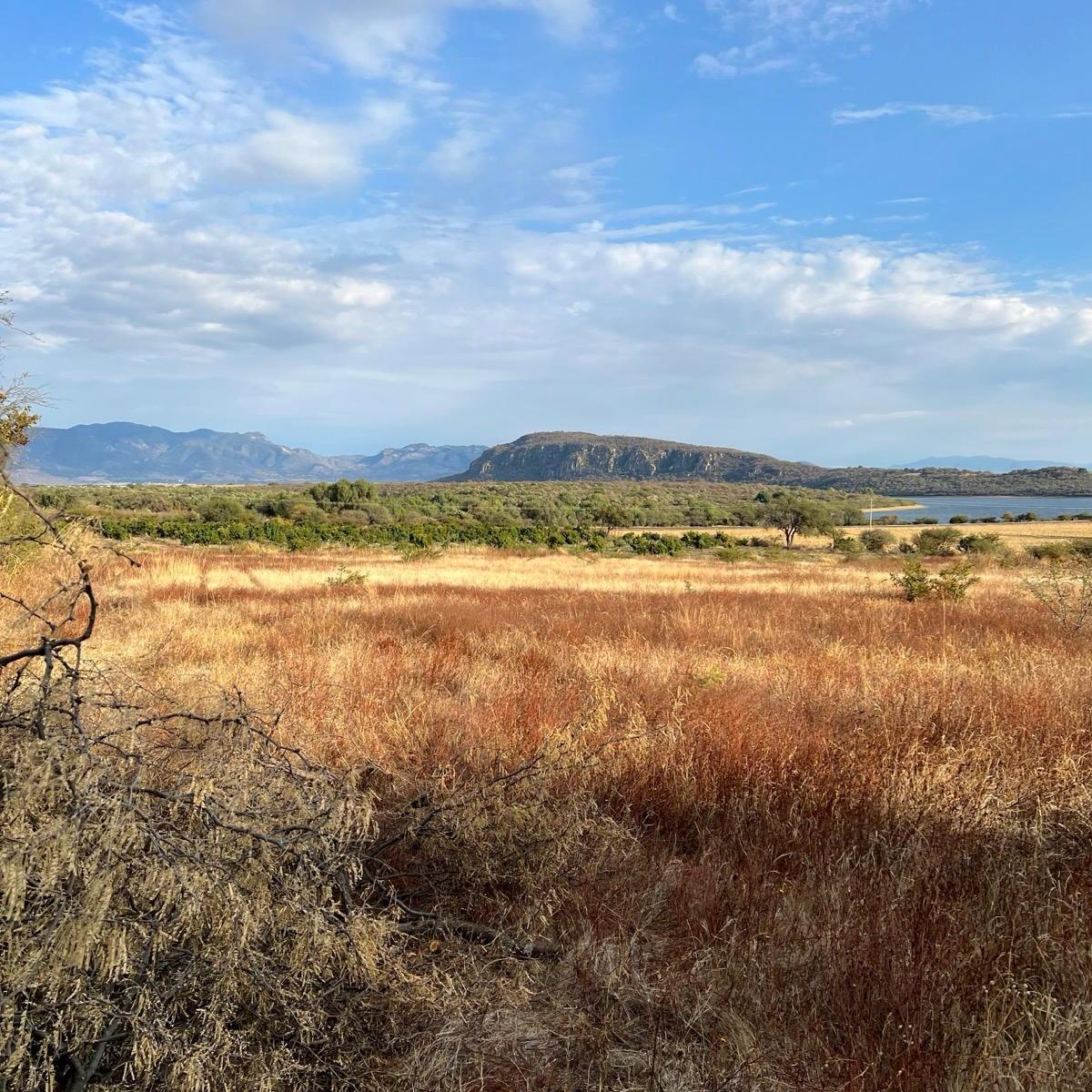 Rancho Agrícola en Producción Activa
