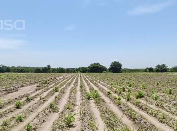 Terreno / Lote · Terreno en Altamira
