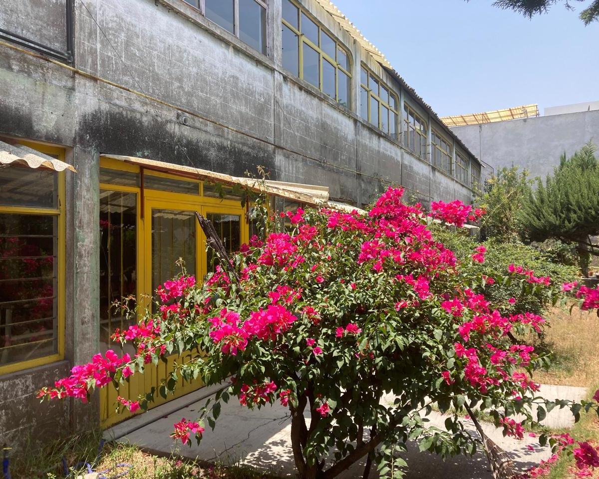 Propiedad en Centro de San Martín Texmelucan