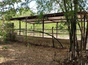 46685ef8eec39a73ba1ffd96f4cf8f068ae53202de9e10cfb107191eb9de669a · Terreno en Venta en Tixkokob, Yucatán: 110 Hectáreas Propiedad Privada