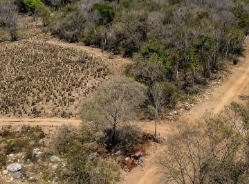 af3fb86256950b80664d83f3d3c65829e4655c9c3c11b0cf6566a373e506d383 · 32.3 Hectares (79.8 Acres) | Southern Troncones Land Opportunity