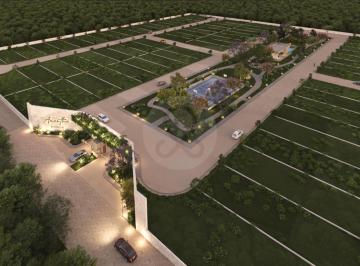 Terreno / Lote · 290m² · Terreno Residencial en Venta en Pueblo Conkal