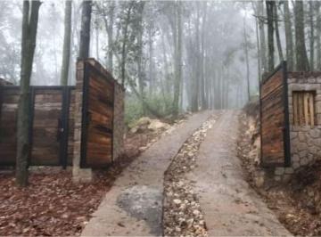Terreno / Lote , Amealco de Bonfil · 1.09 Hectáreas de Bosque Privado, con Escritura Pública — Lagunas de Servín