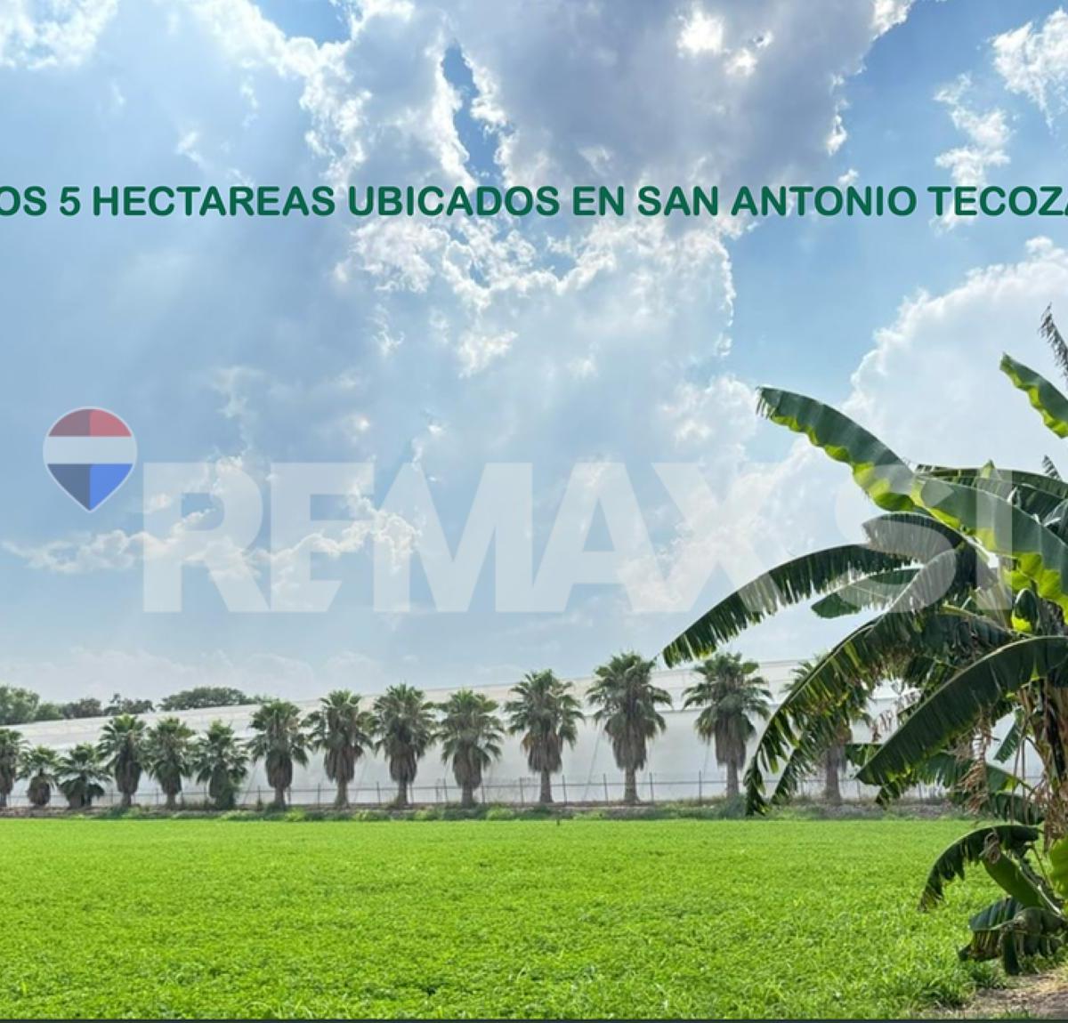 RTVF Agricultural Land for Sale in Tecozautla, Hidalgo
