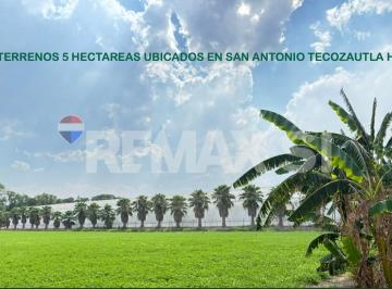 Terreno / Lote · 50000m² - Remax Si · Rtvf Terreno en Venta Uso Agrícola en Tecozautla Hidalgo