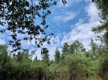 Terreno / Lote · 4000m² · Terreno en Venta - (4)