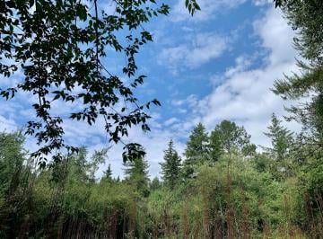 Terreno / Lote · 4000m² · Terreno en Venta - (4)