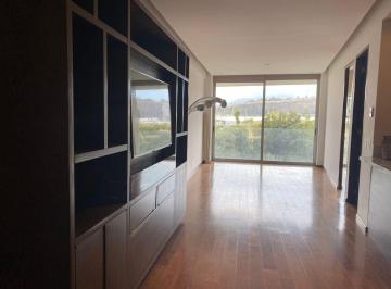 Departamento de 1 habitación, Alvaro Obregón · Rento Departamento Av Santa Fe