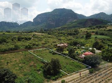 Terreno / Lote · 1000m² · Terreno en La Mextepec