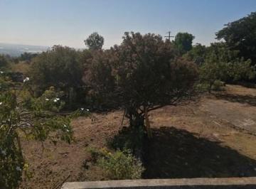 N/A · Venta de Terreno en Tlayacapan – Gran Oportunidad de Inversión