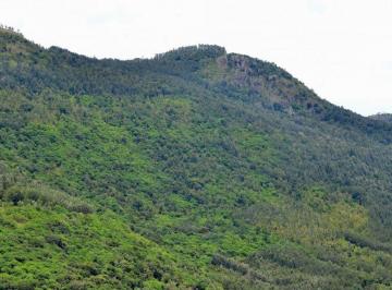 Terreno / Lote , Emiliano Zapata · Terreno Reserva de Tepeapulco Cerro