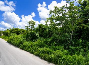 Terreno / Lote , Tulum · Oportunidad