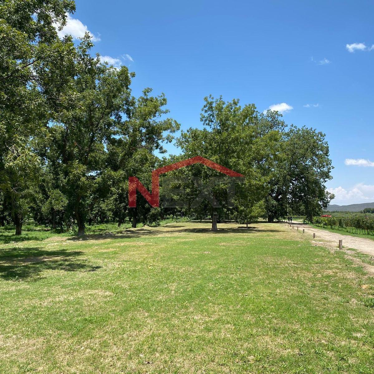 Residential Land for Sale | Hacienda del Márquez – Parras de La Fuente, Coahuila