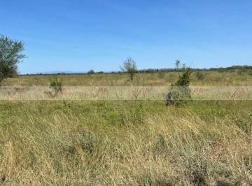 Terreno / Lote · 100000m² · Terreno / Lote en Venta en Soledad Herrera
