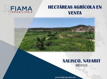631a31e5eae1b8ae710c0008d27fcdcef0e9221dfca1294402d869c209d6a856 · Hectáreas Agrícolas en Venta, Xalisco, Nayarit. (En)