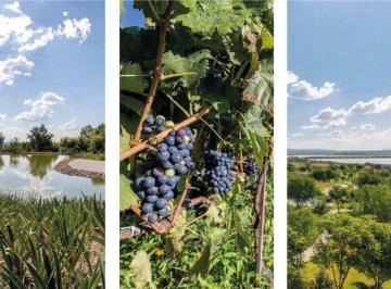 Terreno / Lote , San Miguel de Allende · Lote 3 Manzana 8