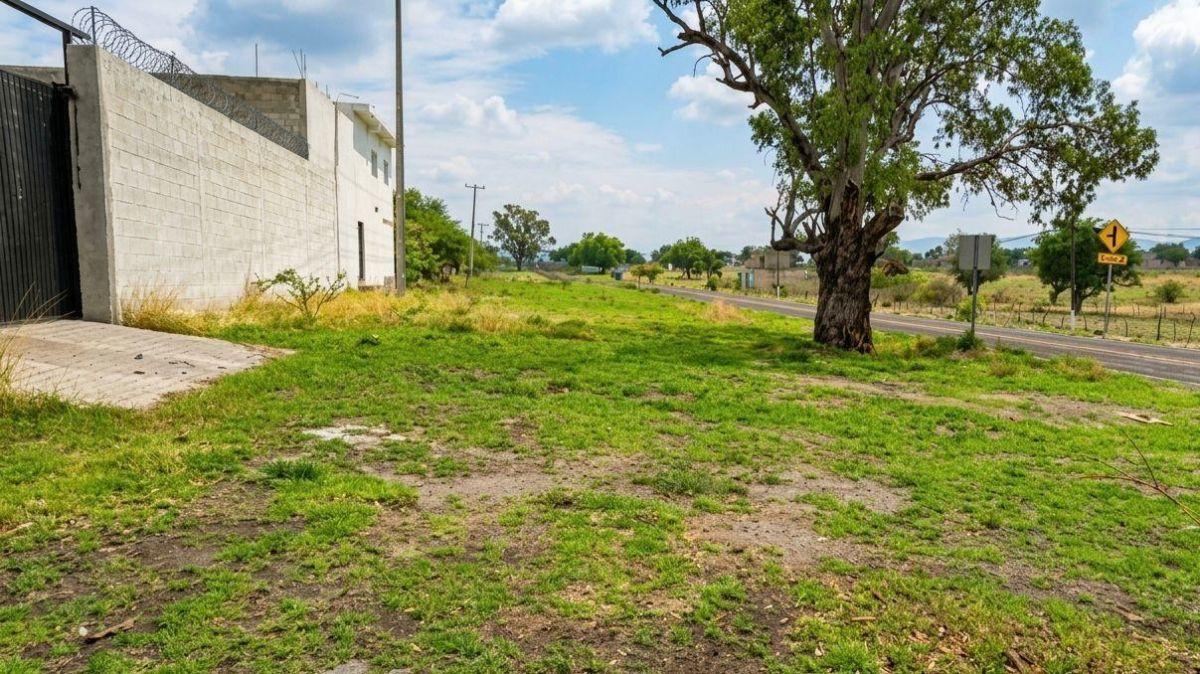 Land for Sale on Puente de Ixtla Highway - Alpuyeca