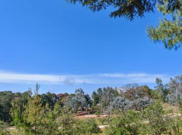 Quinta en Venta ácaxochitlán Centro · Bosque Imperial | Exclusividad en Acaxochitlán