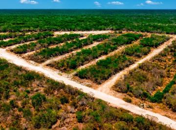 Terreno / Lote · 180m² · Terrenos - Gran Mayahual - Mahahual