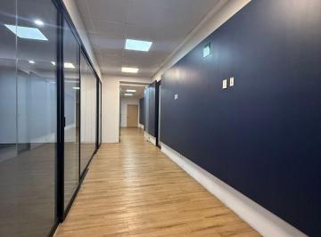 Oficina , Zapopan · Oficinas Corporativas 500 m² en Concentro, Zapopan