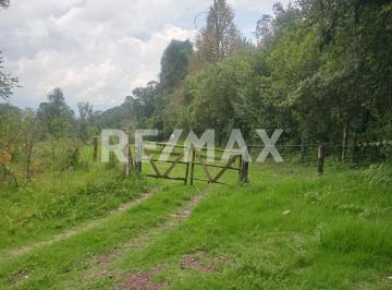 Terreno / Lote · 200000m² · Terreno en Venta - (4)