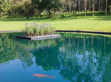 Casa de 4 habitaciones, Ixtapaluca · Te Gusta Jugar Golf ♂️