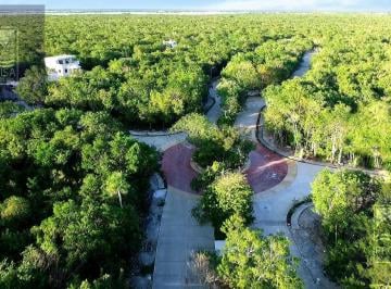 Terreno / Lote · 170m² · Terreno de 170 m² en Venta en Playa del Carmen