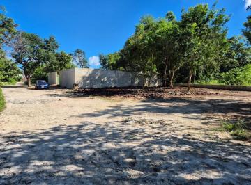 Terreno / Lote · 1000m² · Terreno en Renta, Cancún, Av Huayacan, Quintana Roo Sup 1000 m (Escriturado Uso Comercial)