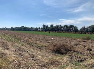 38354cf94483dc3689d6a37dd5d268ea3a4ad46a3f750c6de321d209af8502ca · ¡Excelente Terreno en Venta en San Miguel Xoxtla!